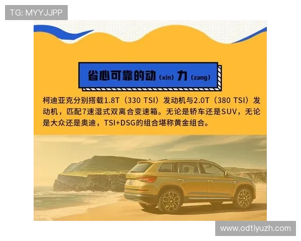 速发国际365优化操作流程提升客户体验赢得市场广泛认可